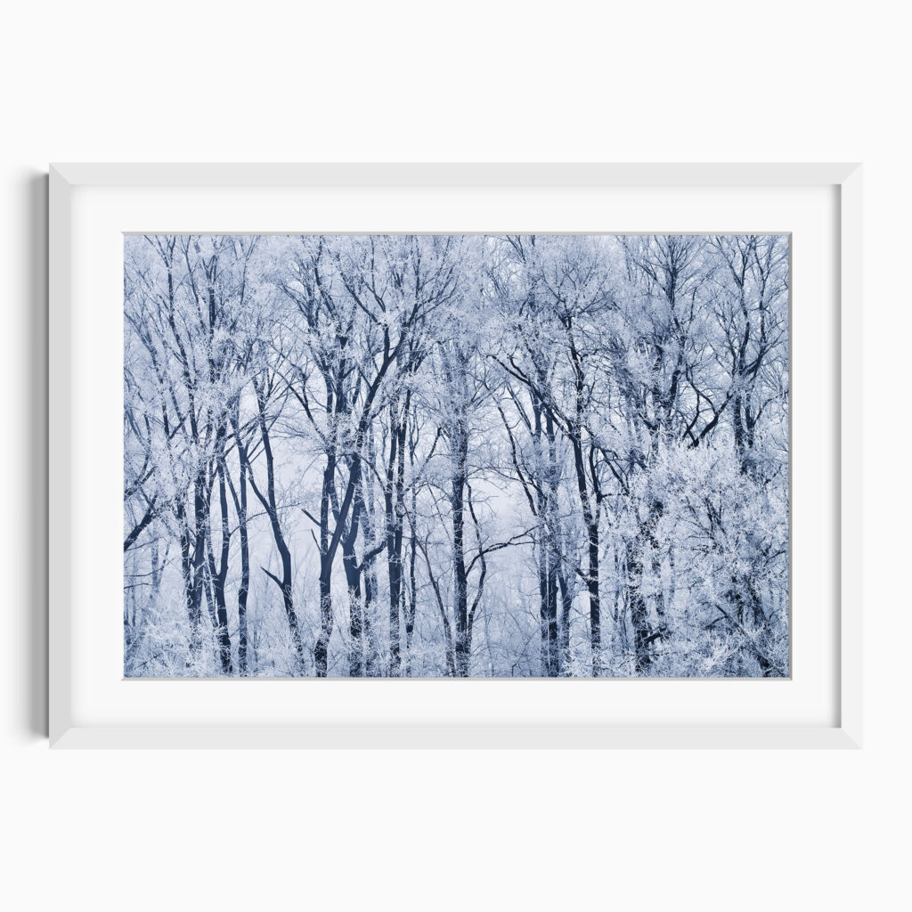 Frozen Idyll